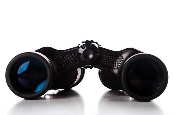 Quels sont les avantages des objectifs jumelles ?