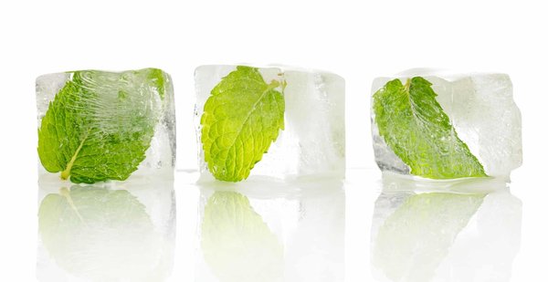 Est ce que l'on peut boire une infusion de feuilles de framboisier glacée ?